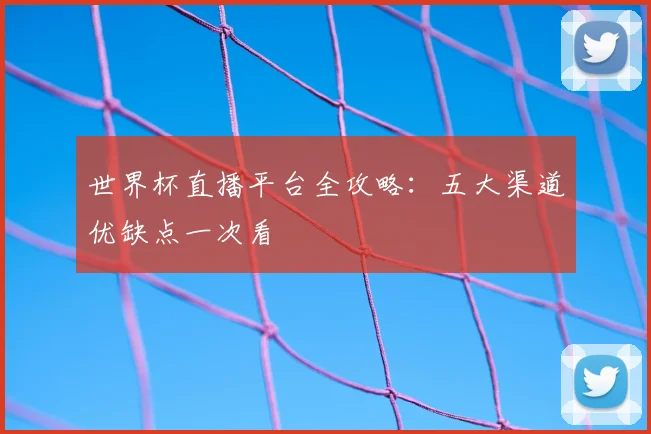 世界杯直播平台全攻略：五大渠道优缺点一次看